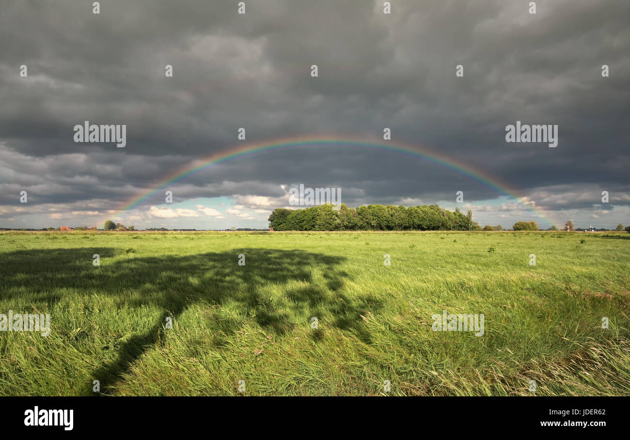 rainbow over green meadow with tree shadow Stock Photo