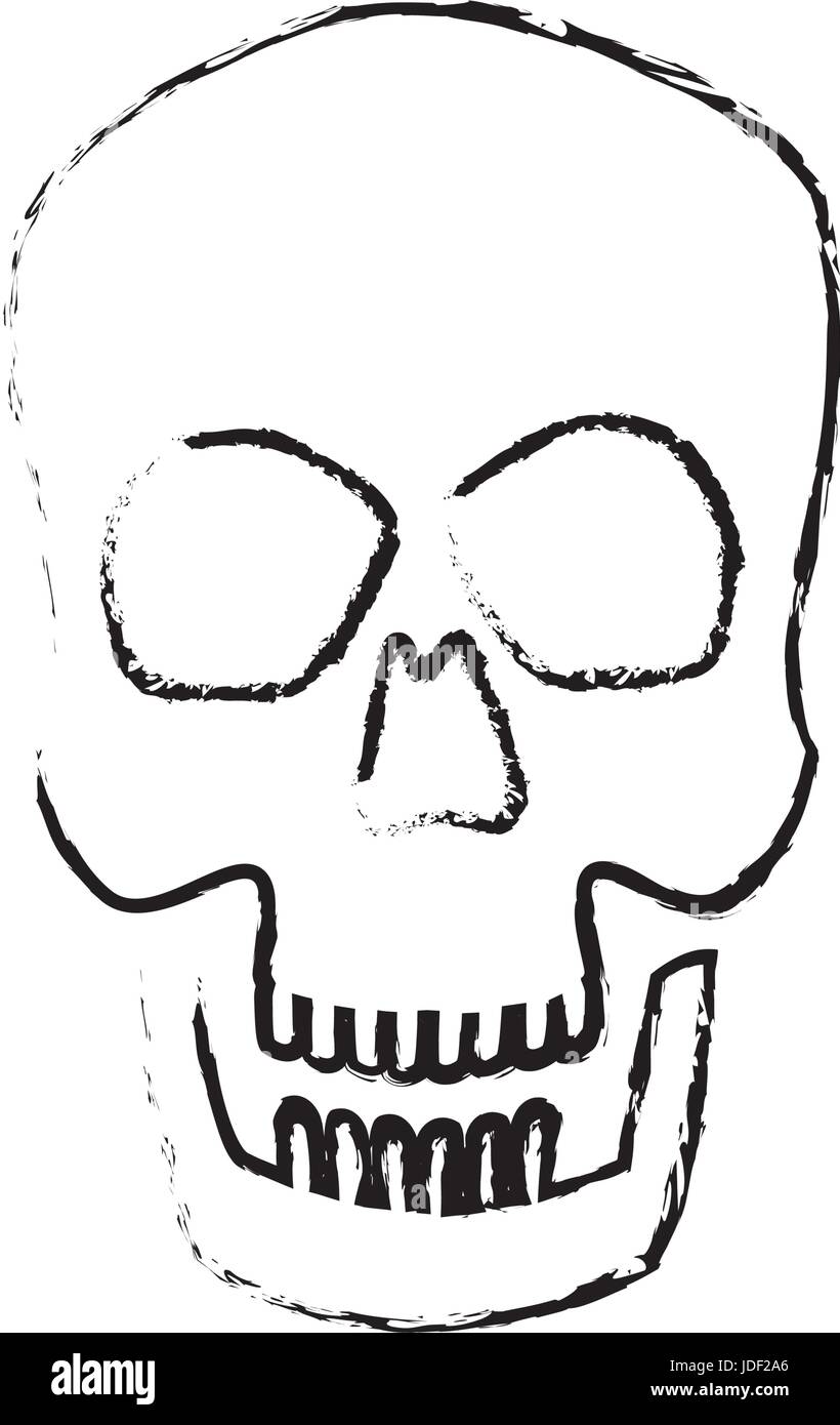 human skull male medical biology science Stock Vector