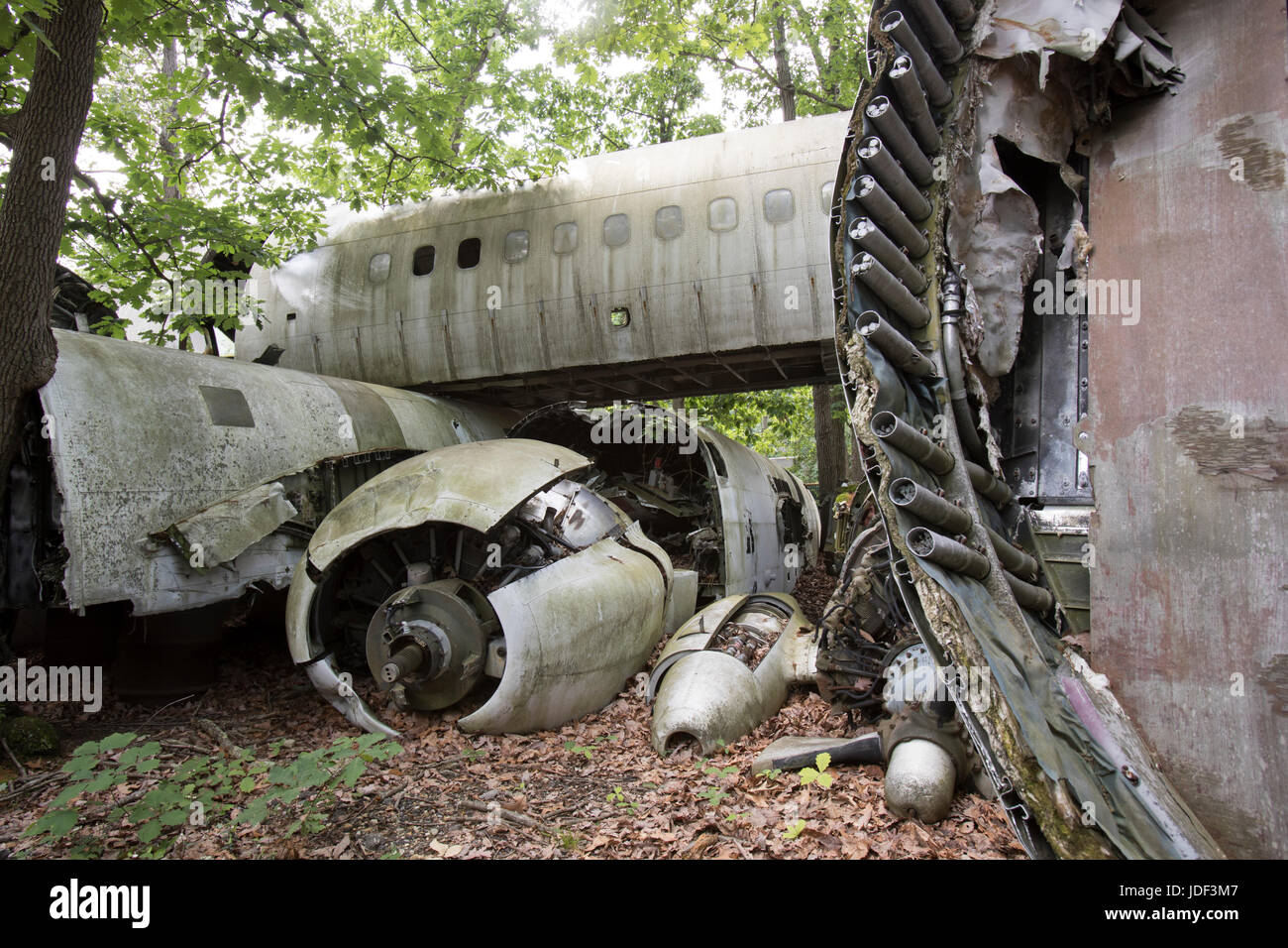 Wreckage of crashed plane in wooded junkyard. Stock Photo