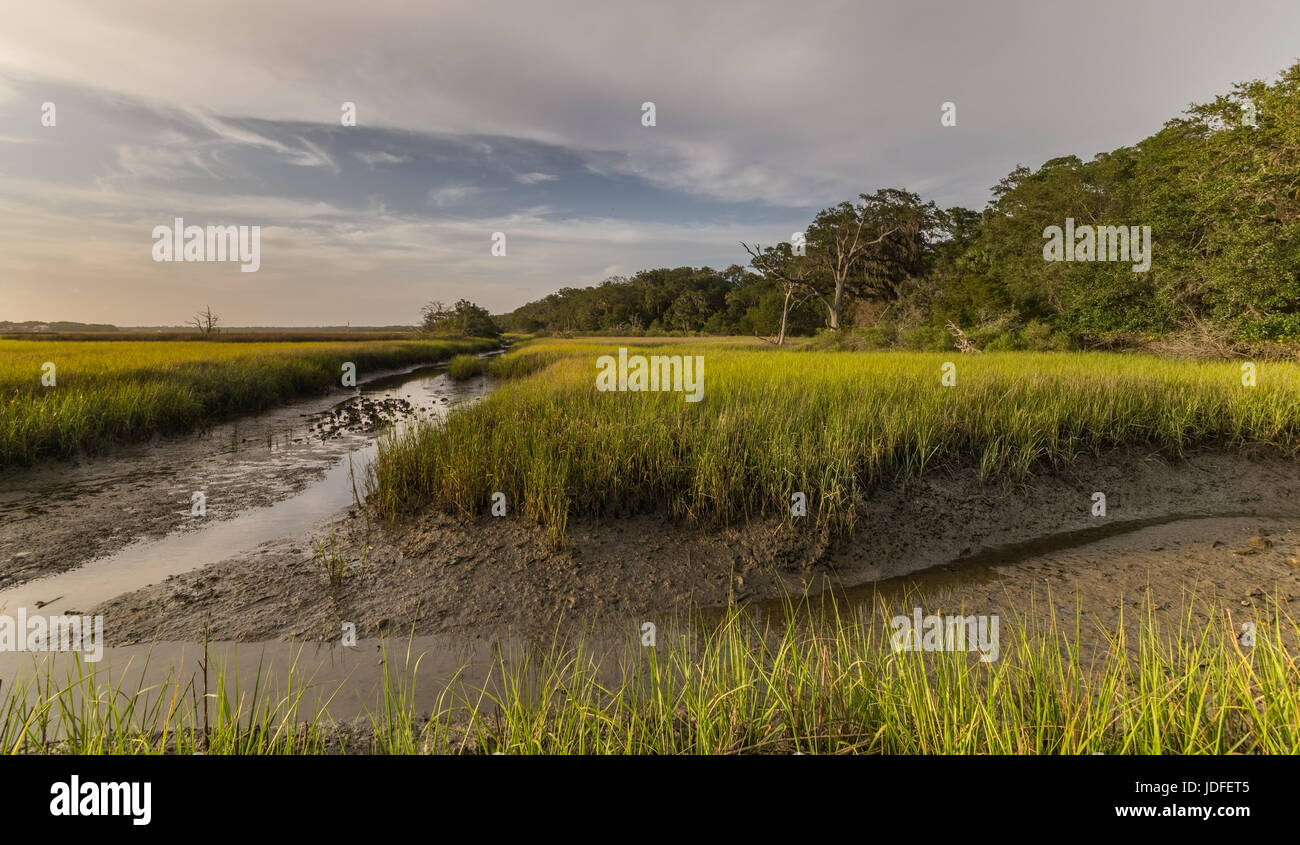 Egans Creek part of the Egans Creek Greenway, Amelia Island/Fernandina