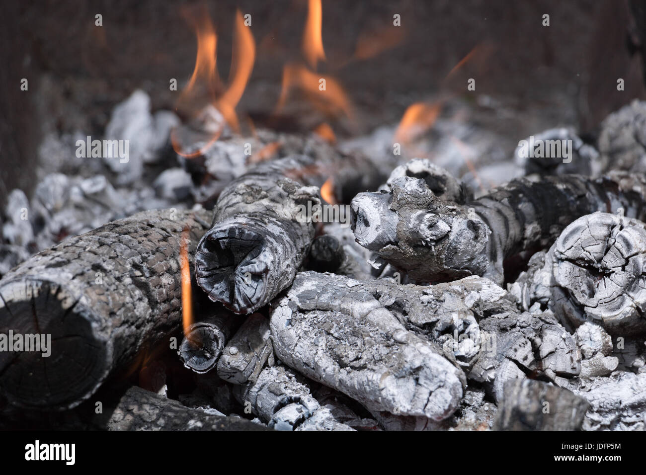 Burning of firewood in the grill Stock Photo Alamy