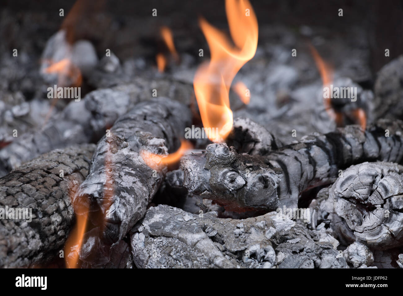Burningwood hi-res stock photography and images - Alamy