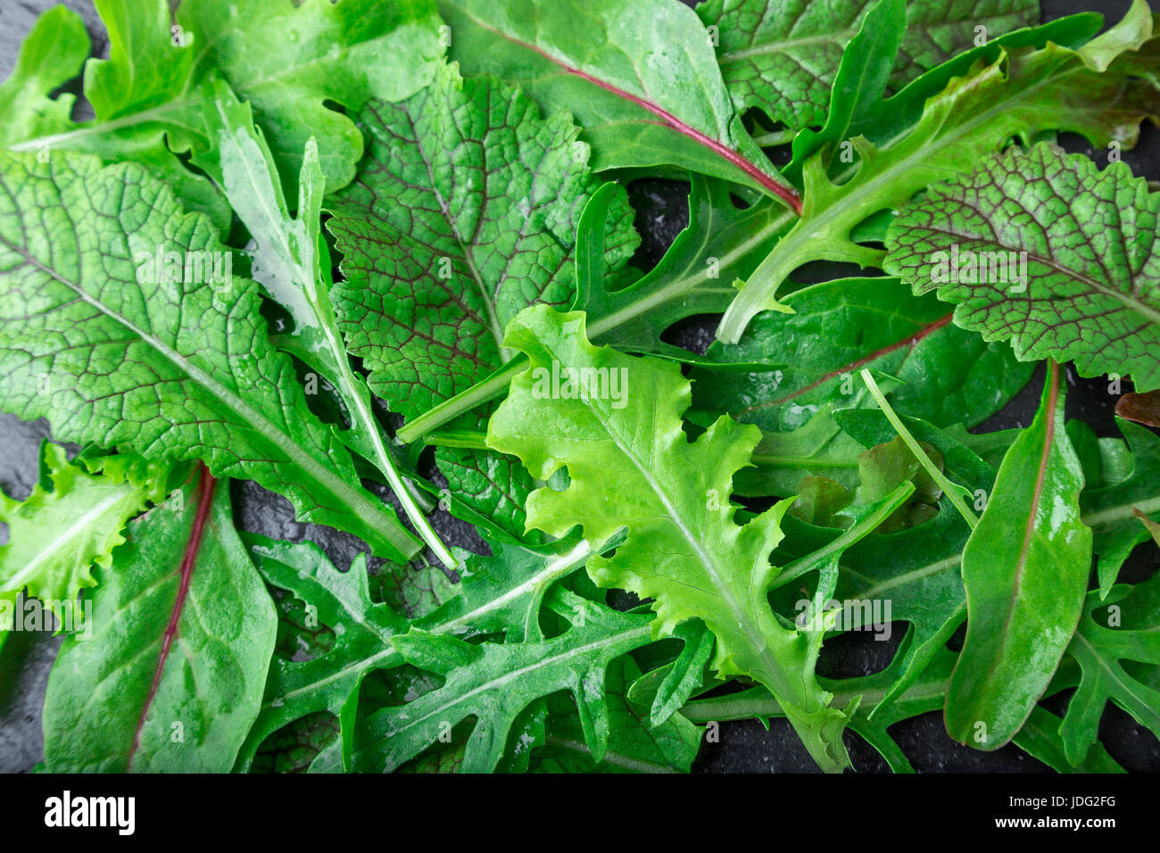 Mixed salad leaves on black slate plate. Top view. Leaf background Stock Photo