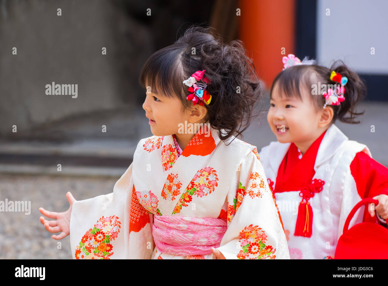 Japanese Girl Celebrates the 'Shichi-go-san' -  a traditional rite of passage and festival day in Japan Stock Photo