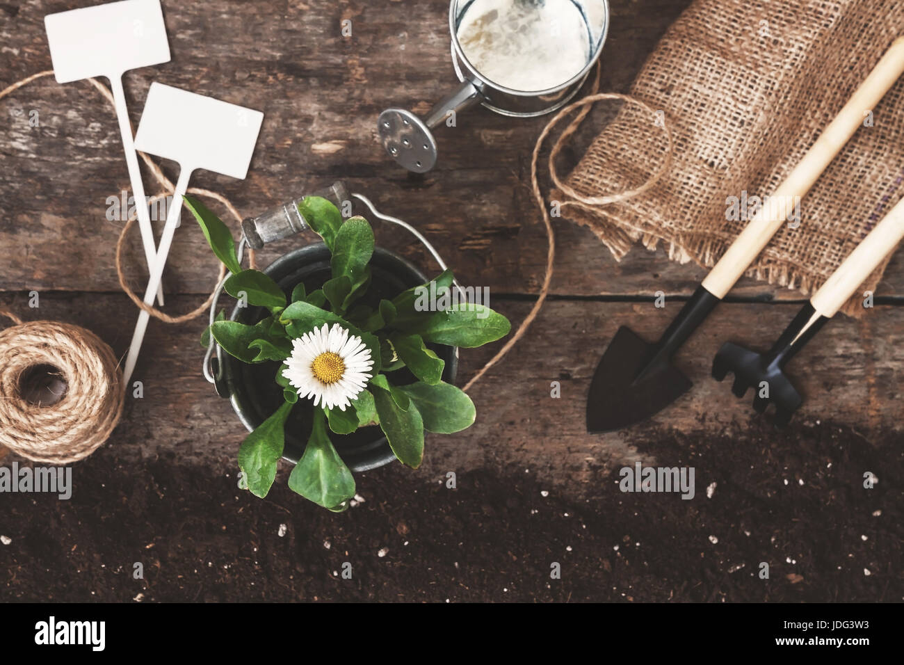 Garden tool, shovel, rake, watering can, bucket, tablets for plants ...