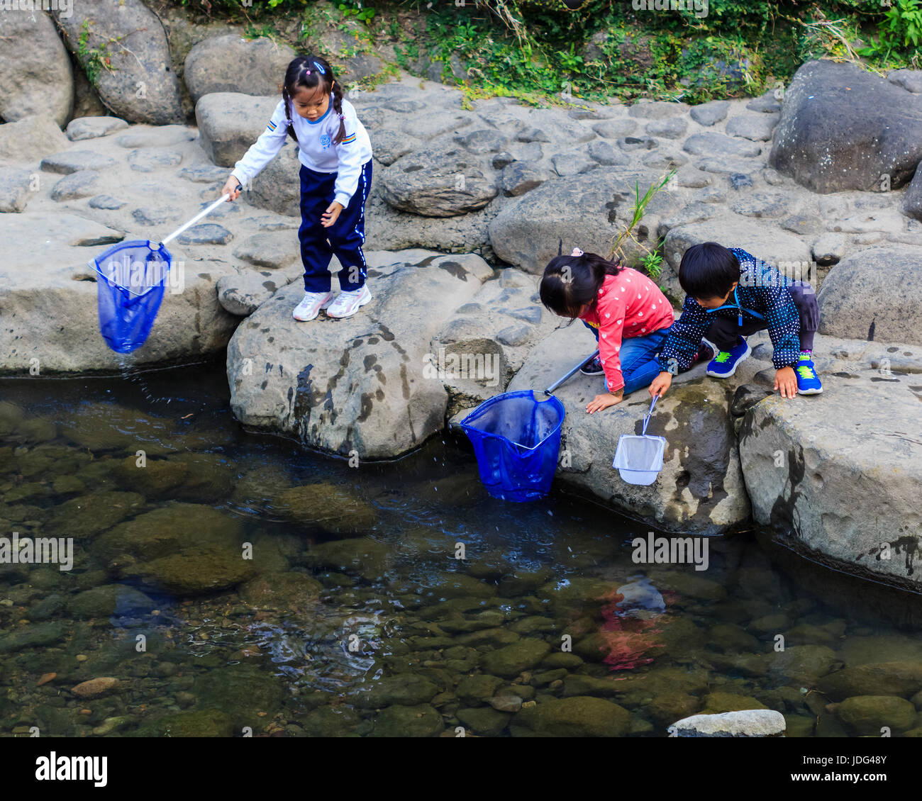 Smalls Japanese students to collect water insect from the river Stock ...