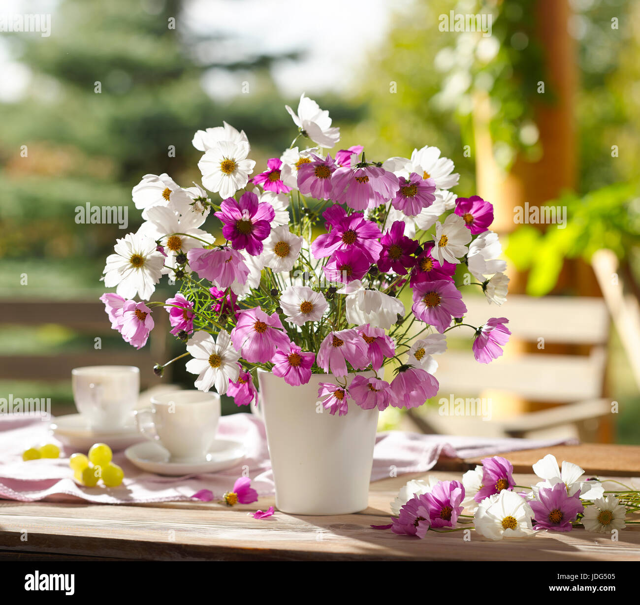 Bouquet of flowers with cosmos. Stock Photo