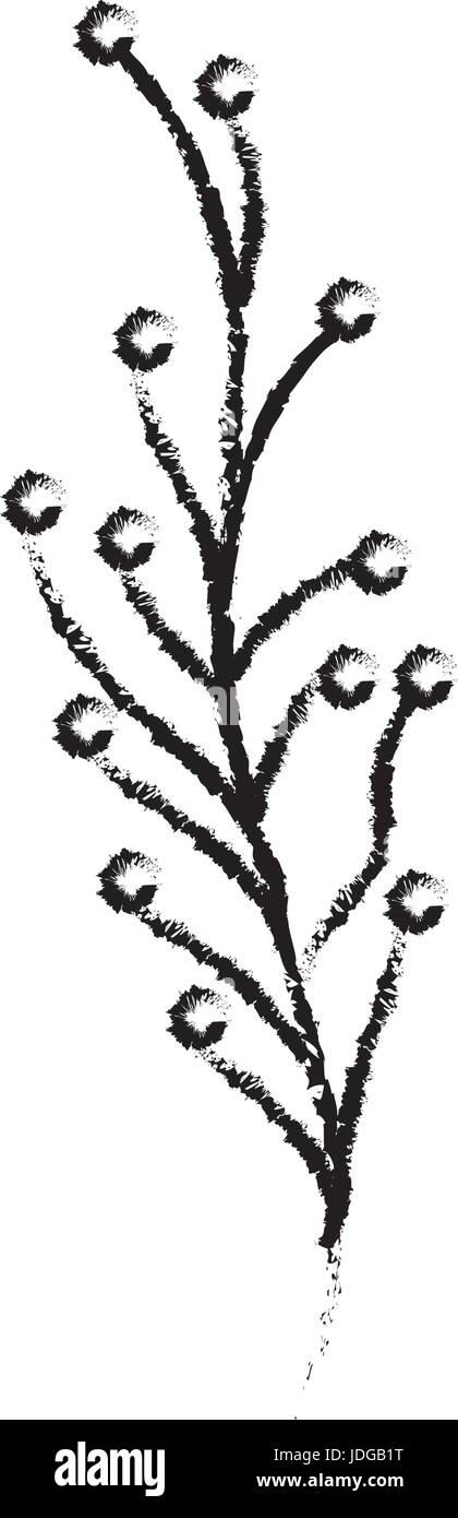 Tree Branch Drawing Black And White Stock Photos Images Alamy
