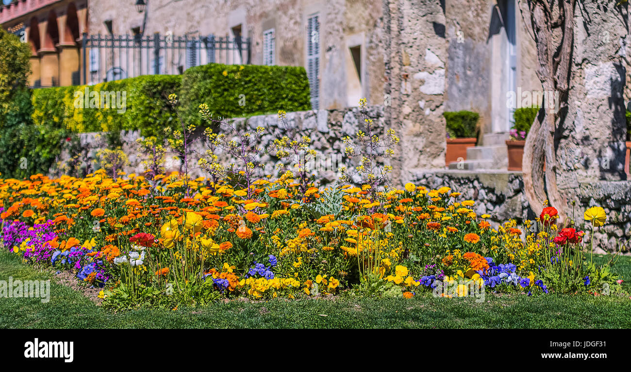 bird is free Stock Photo Alamy