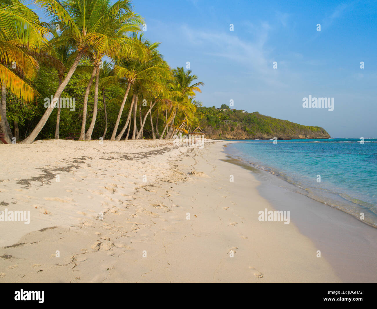 Lagoon Beach, Mustique. A quiet, private and safe beach to snokel and swim in shallow azure blue waters. it has palm tress lining its foreshore. Stock Photo