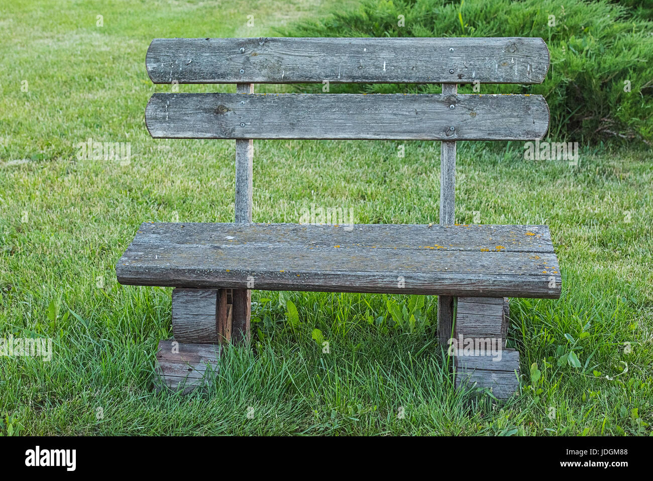 Front view of old handmade wooden bench standing on lawn in the park or garden near juniper. Unfocused background. Stock Photo