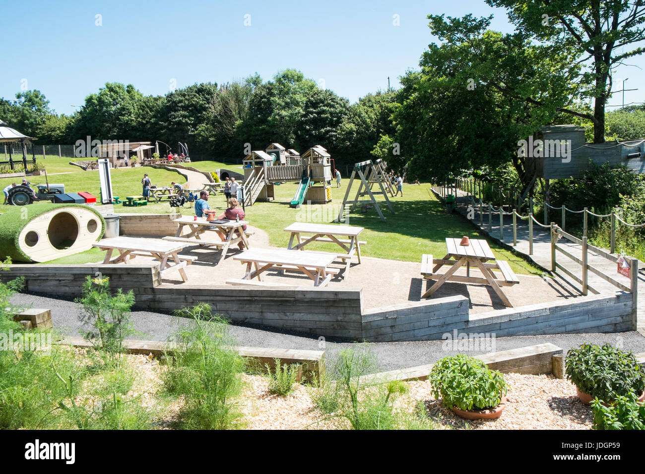 Parc Y Bocs.Park The Box,Farm Shop,Cafe,grounds,with,picnic, area, chicken, feeding, zone,grown, organic,vegetables,Kidwelly,Carmarthenshire,Wales,UK, Stock Photo