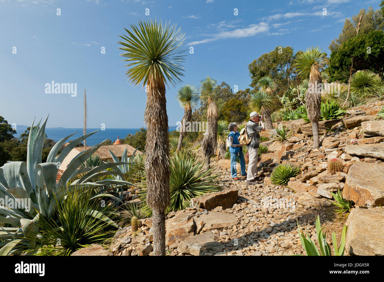 France, Var (83), Le Rayol-Canadel-sur-Mer, Domaine du Rayol, le jardin d'Amérique aride (utilisation presse et édition livre uniquement avec mention  Stock Photo