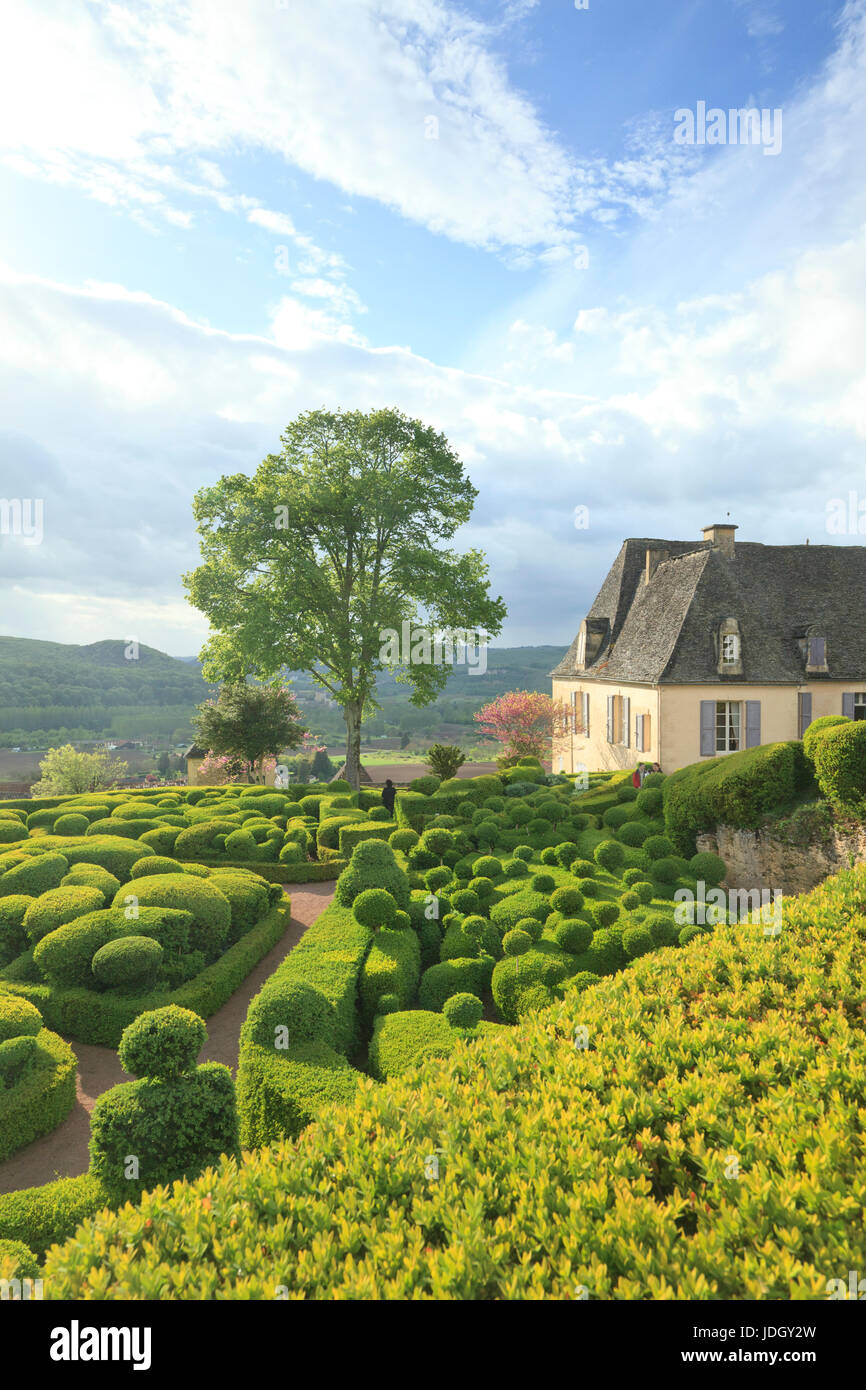 France, Dordogne (24), Périgord Noir, vallée de la Dordogne, Vézac, jardins du château de Marqueyssac, les buis taillés et le château (utilisation pre Stock Photo