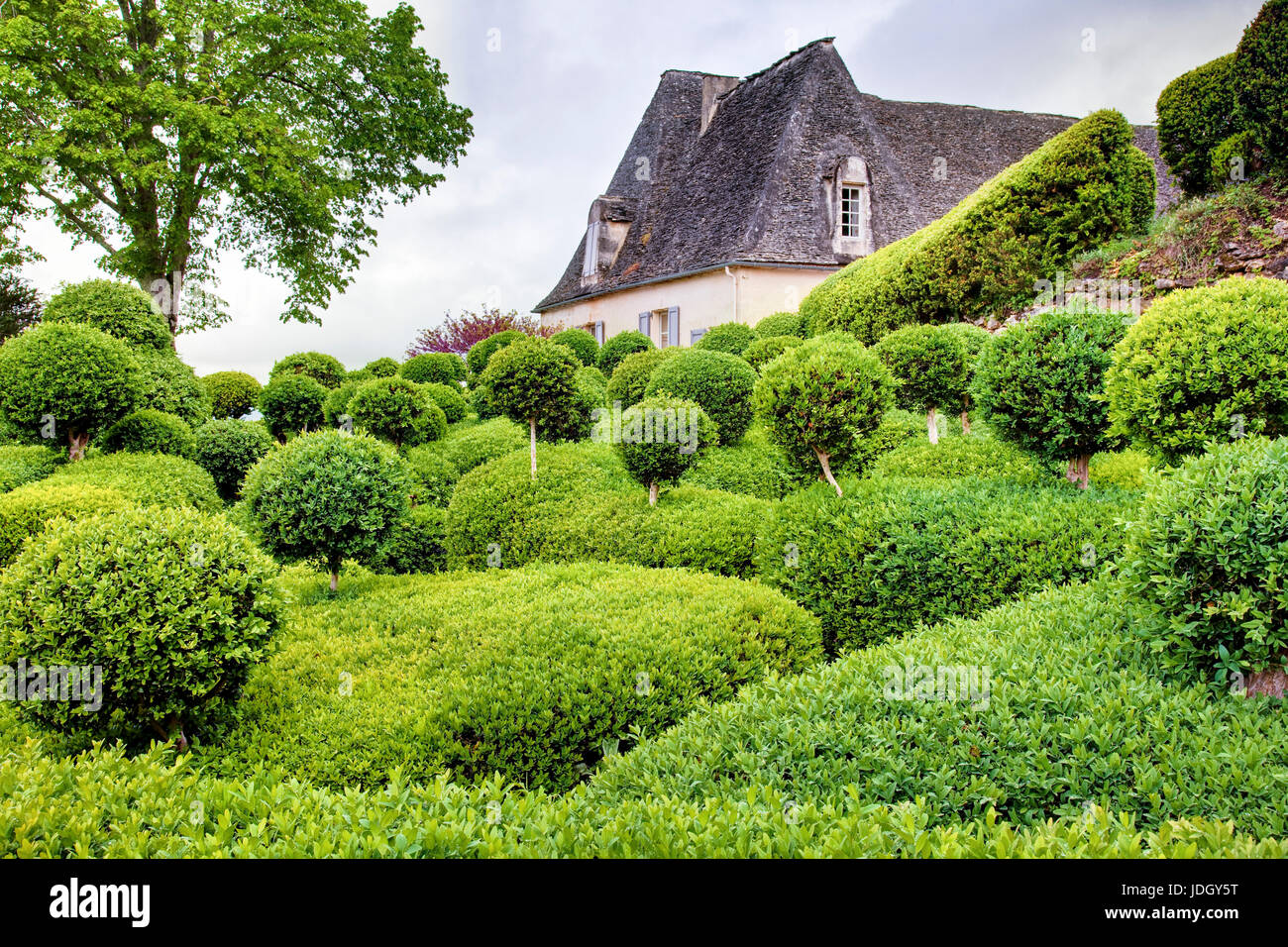 France, Dordogne (24), Périgord Noir, vallée de la Dordogne, Vézac, jardins du château de Marqueyssac, les buis taillés et le château (utilisation pre Stock Photo