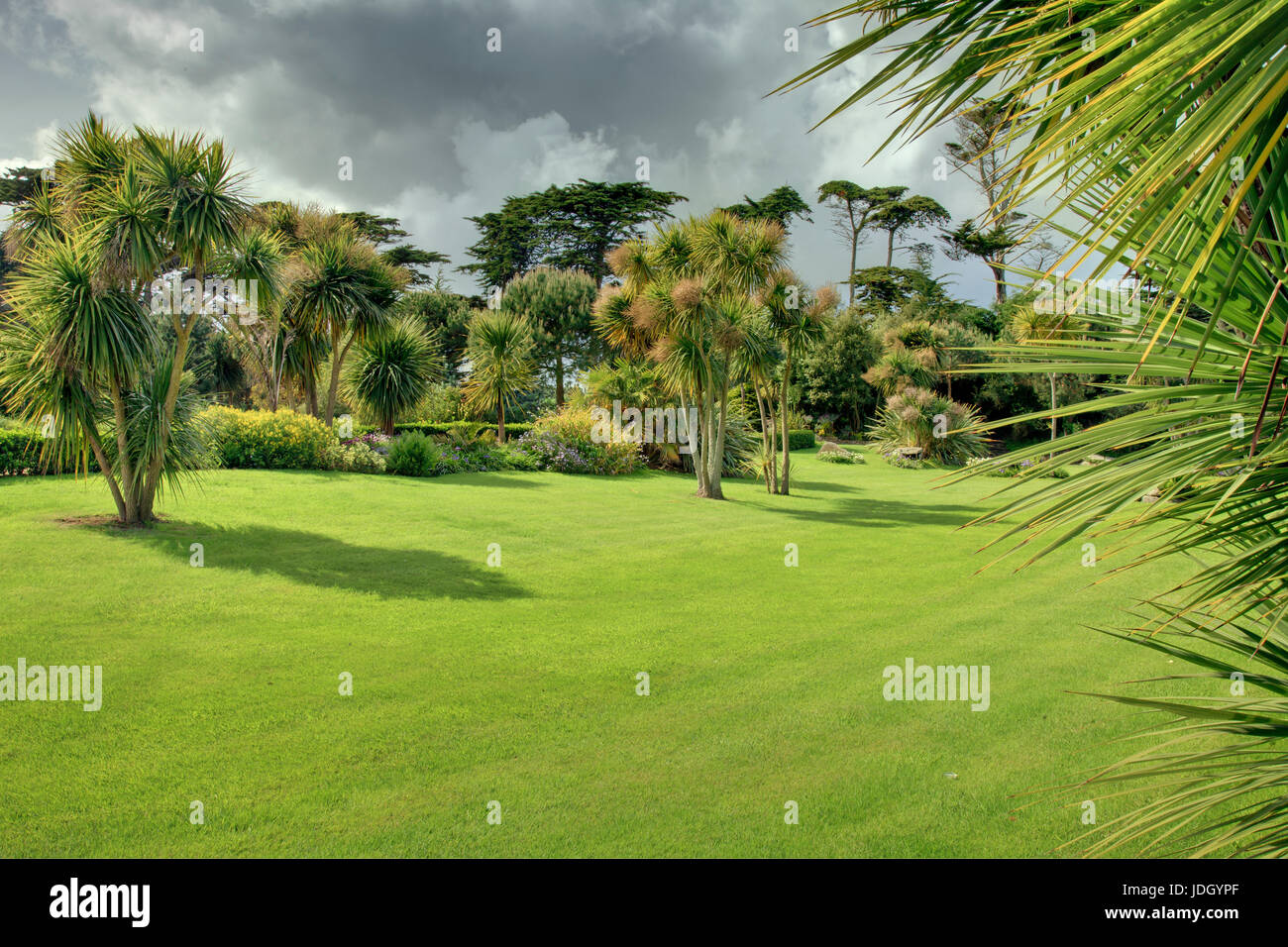 France, Finistère (29), îles du du Ponant, île de Batz, jardin Georges Delaselle, la palmeraie plantée de cordylines australes (Cordyline australis) e Stock Photo