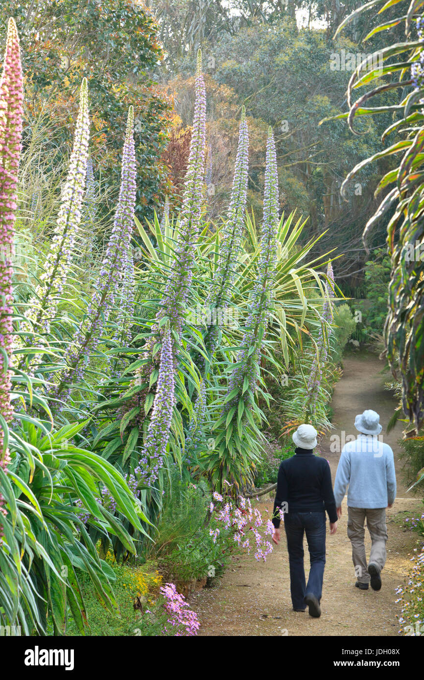 Roscoff Jardin Exotique