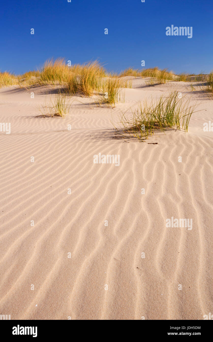 Sand dunes with ripples on the Dutch island of Terschelling on a bright and sunny day. Stock Photo