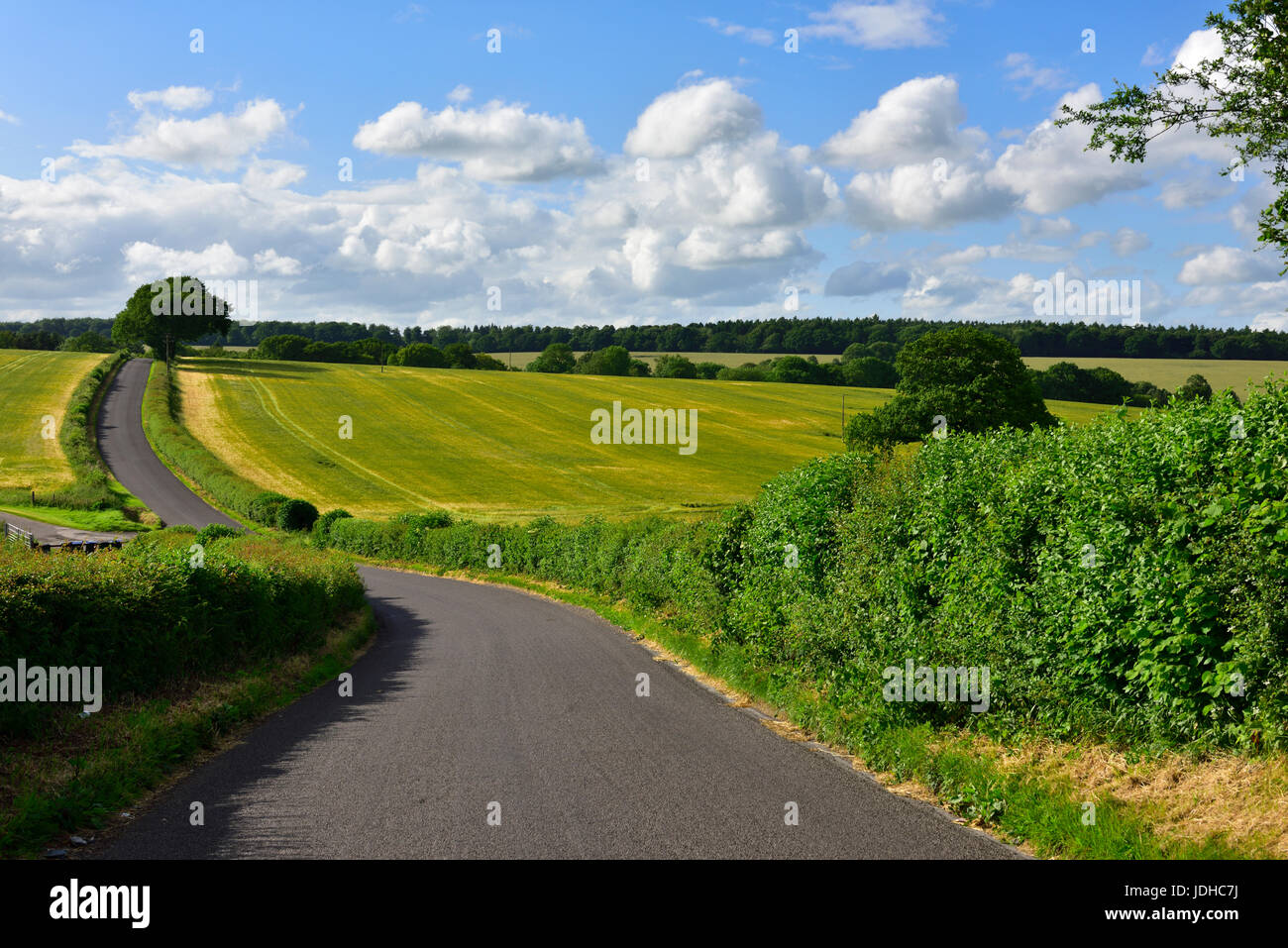 British narrow country lane between hedgerows in countryside near Newbury, West Berkshire Stock Photo