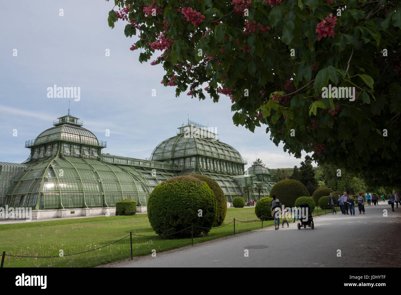 Austria. Vienna. The Palm pavilion in W part of the gardens of Schönbrunn Palace Stock Photo