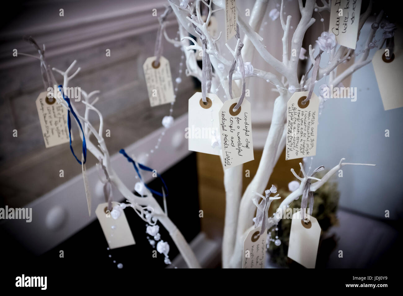 Decorative small tree branches with guests' personal congratulation and wishes messages to a newly wed couple at a wedding reception, UK Stock Photo