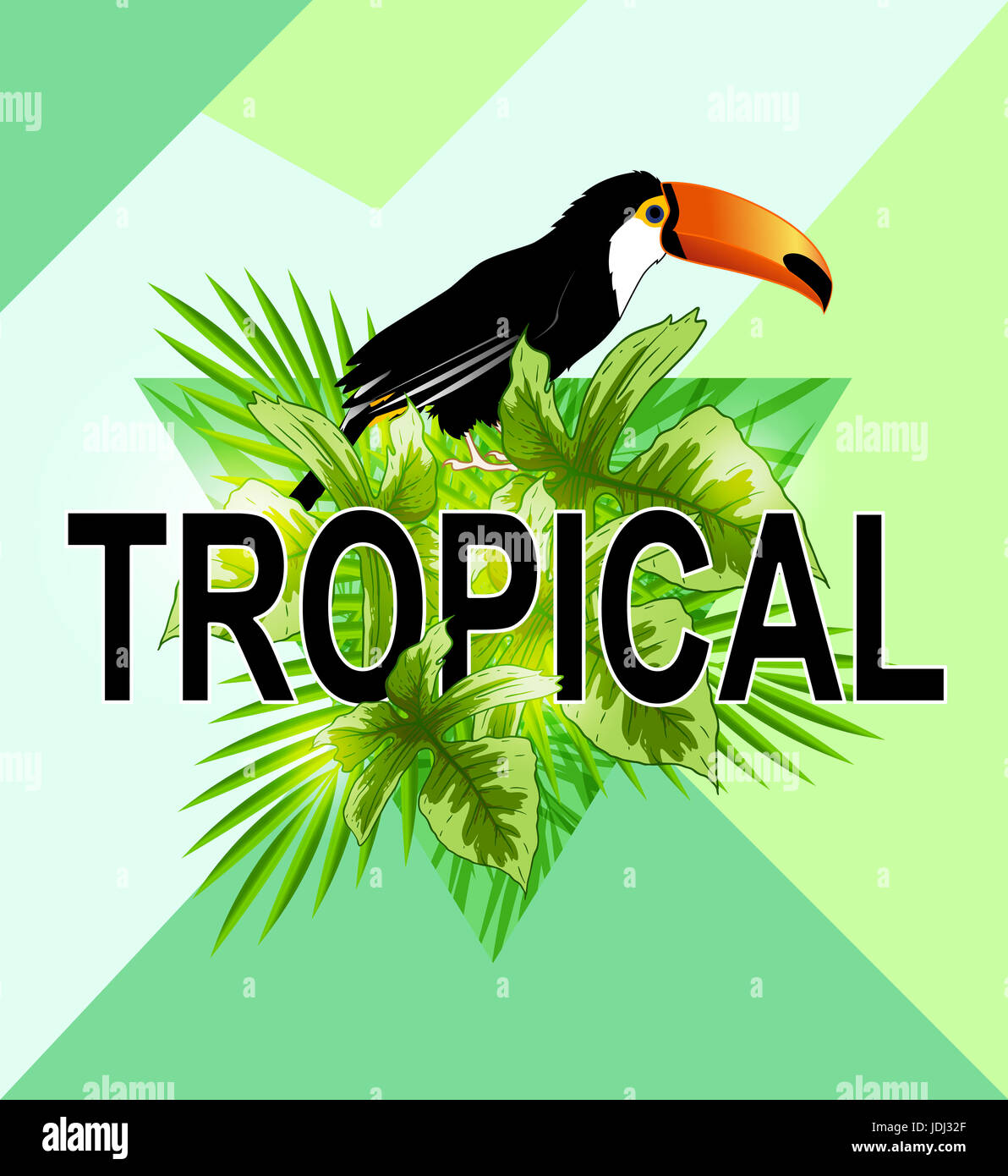 Green triangle with palm leaves and toucan bird. Abstract geometric tropical summer background. Stock Photo