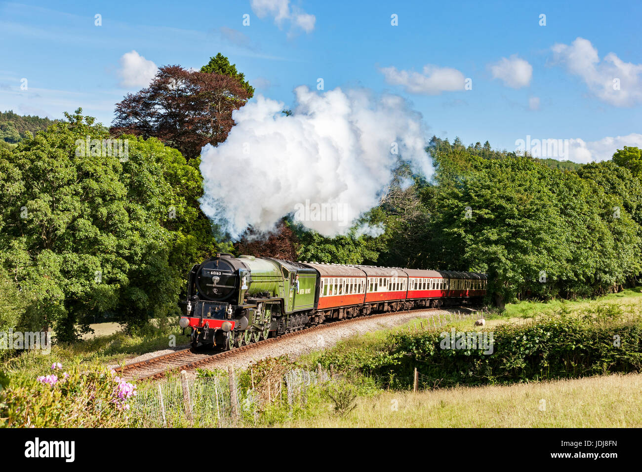 Lner tank engine hi-res stock photography and images - Alamy