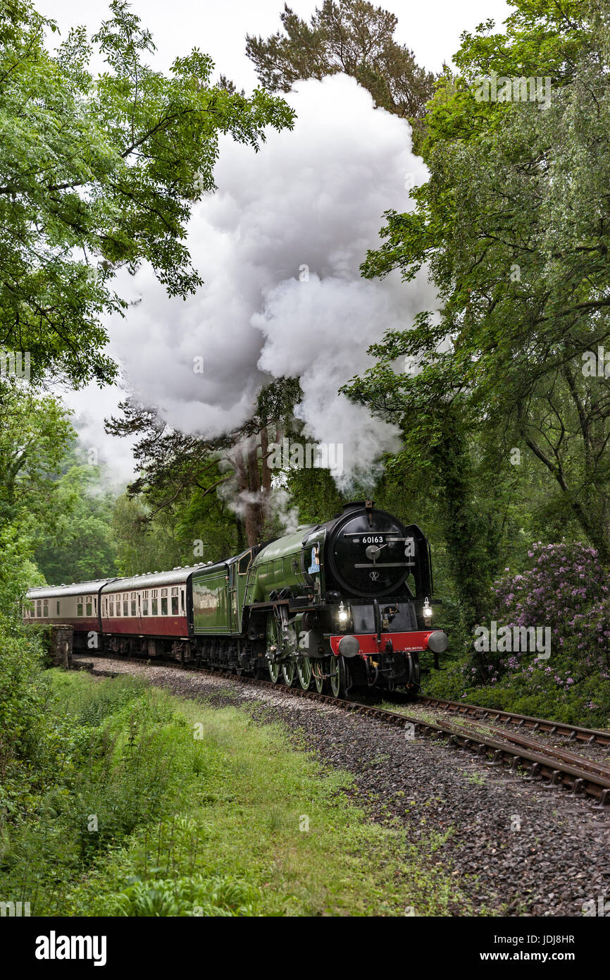 Tornado Steam Engine steaming out Of Bodmin Parkway and up the bank on ...