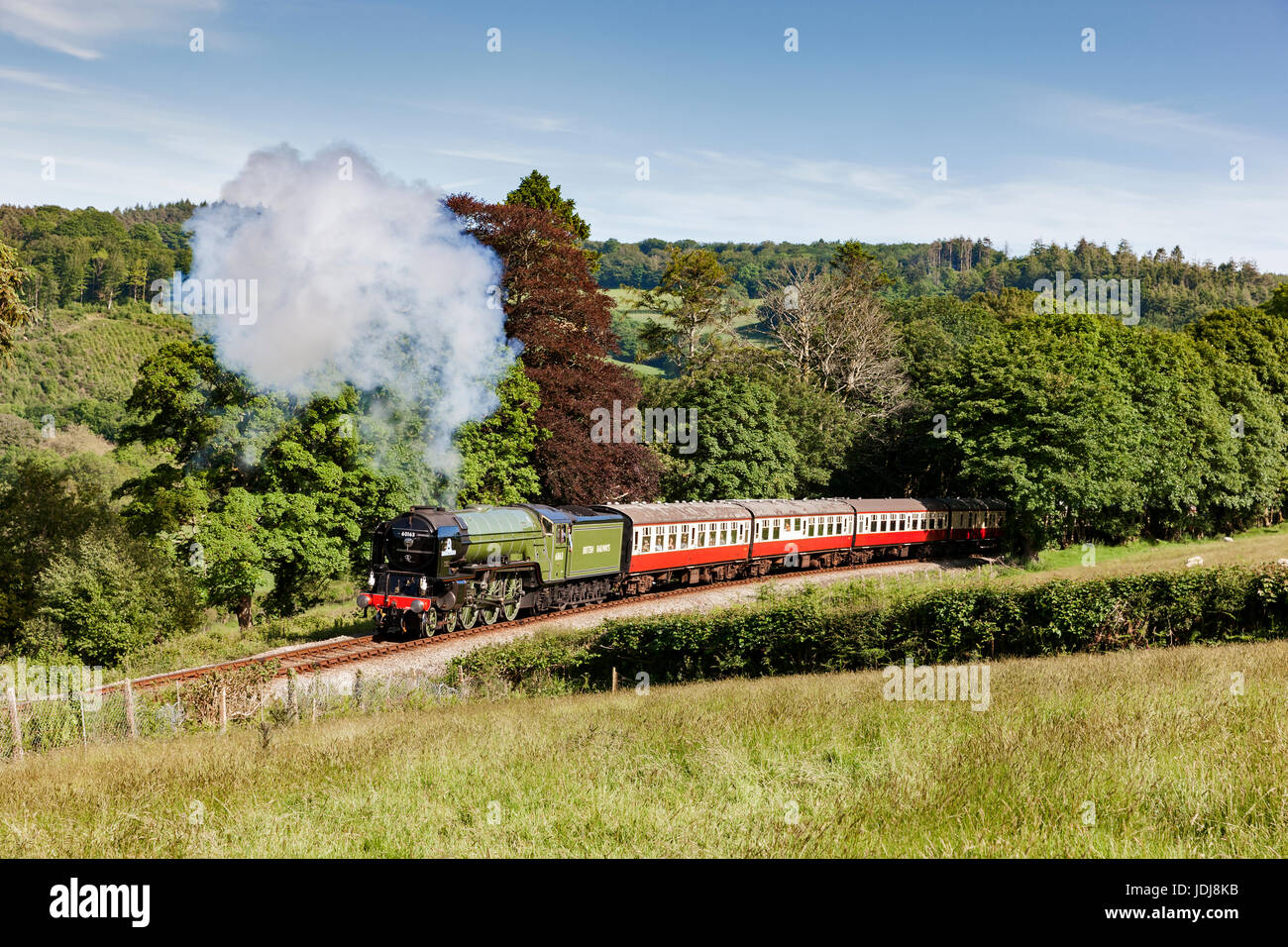 Tornado Steam Engine steaming up the bank on the Bodmin & Wenford Steam ...