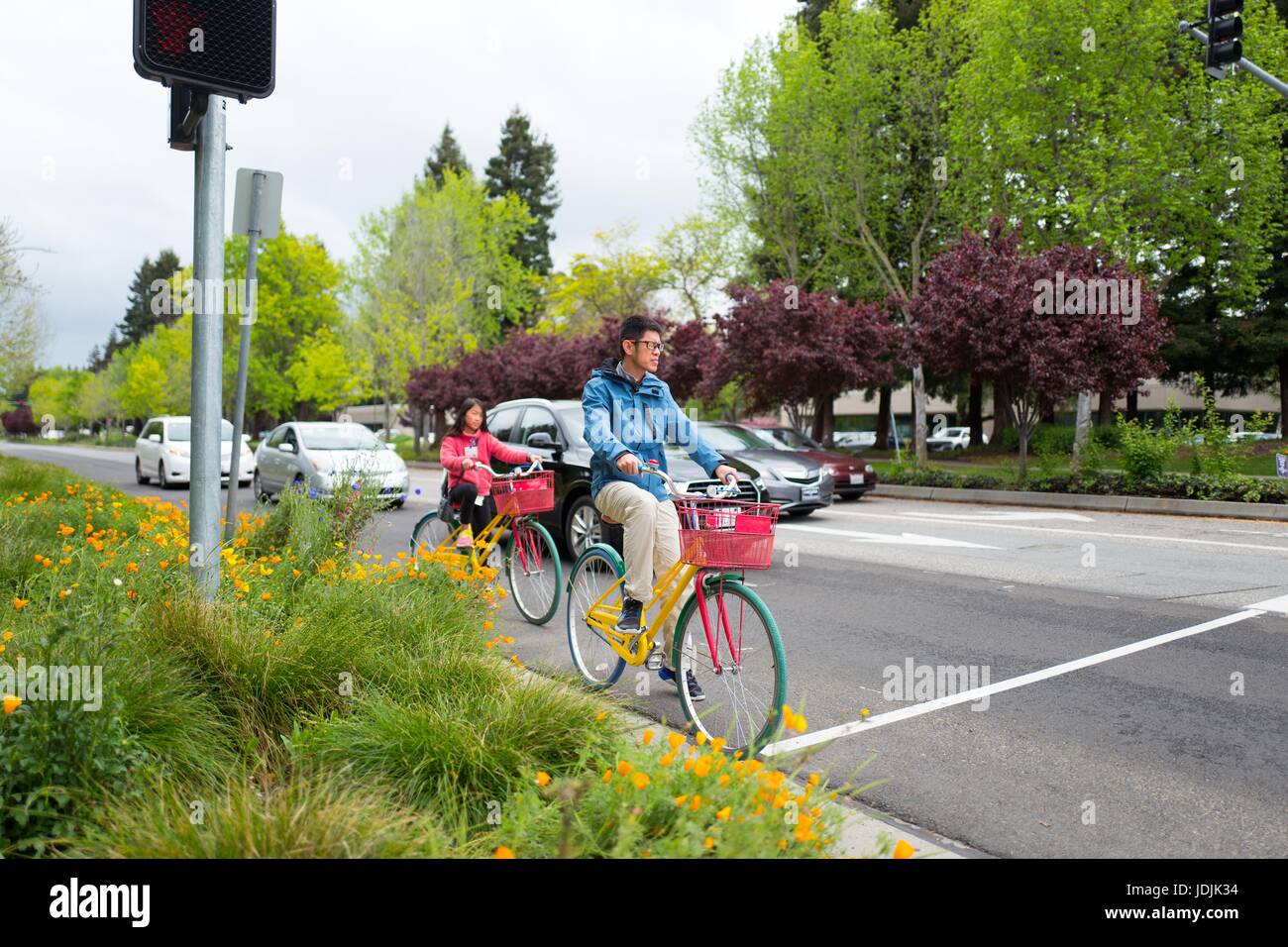 Technology workers for Google Inc ride colorful Google Bikes on a road near a bed of flowers, at the Googleplex, headquarters of Google Inc in the Silicon Valley town of Mountain View, California, April 7, 2017. Stock Photo