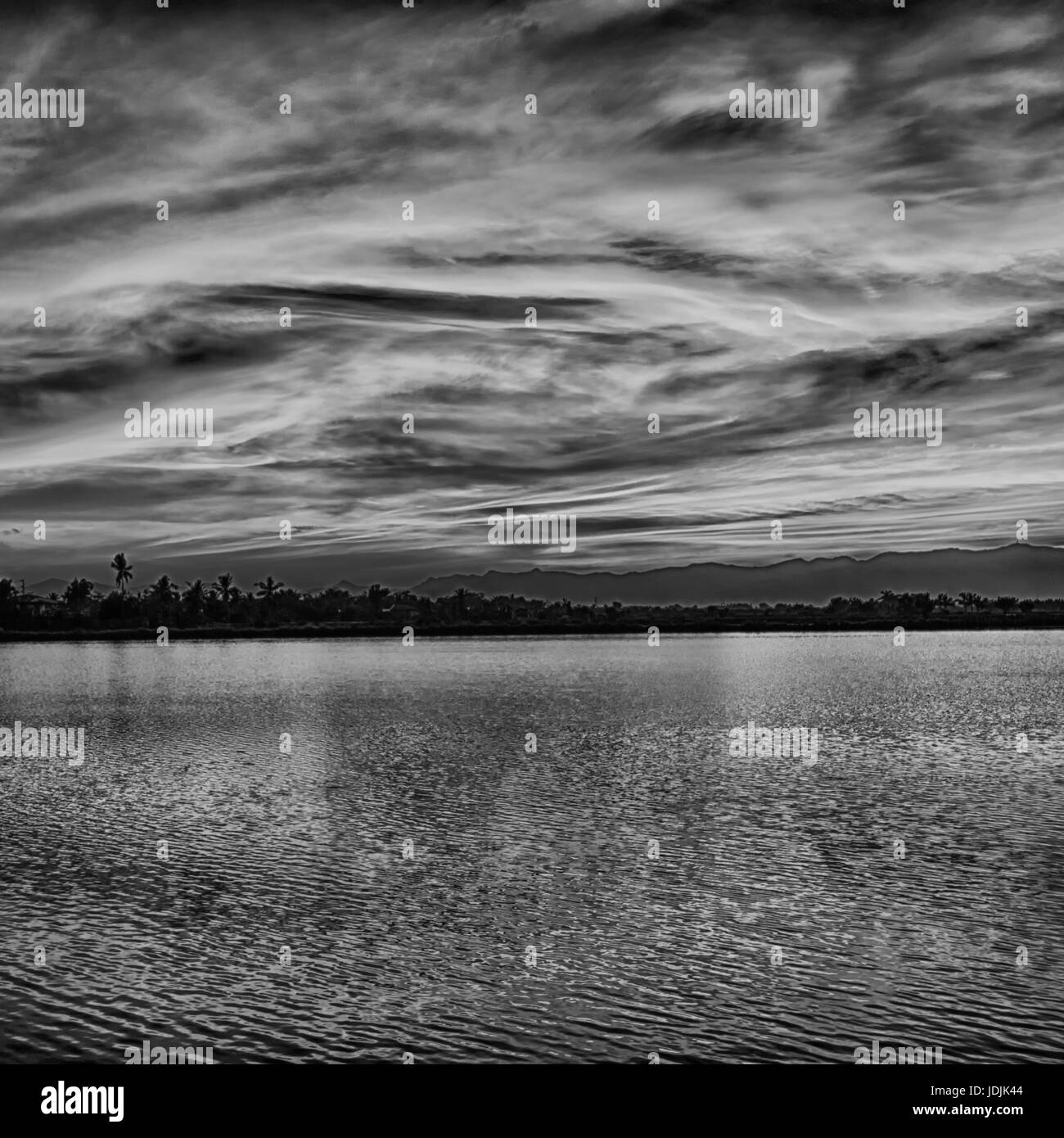 Bush sunrise with silhouette Black and White Stock Photos & Images - Alamy
