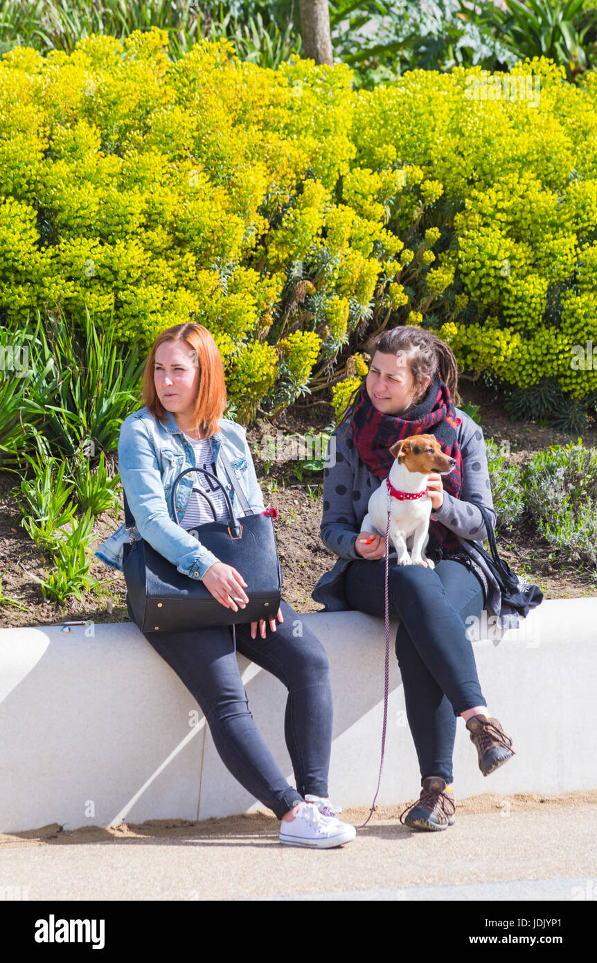 Two young women sitting on wall with dog at Pier Approach,  Bournemouth, Dorset in April Stock Photo