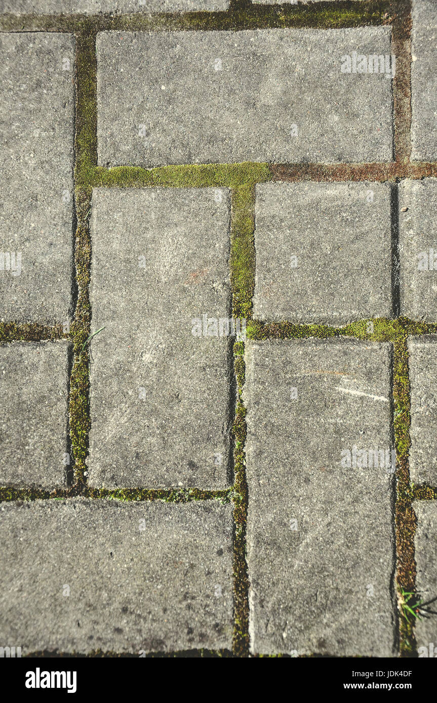 stone paving bricks on the sidewalk Stock Photo