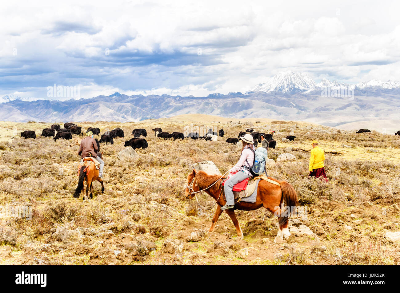 View on Horse Trekker and Yak herds with nomads in the highlands of Sichuan Stock Photo