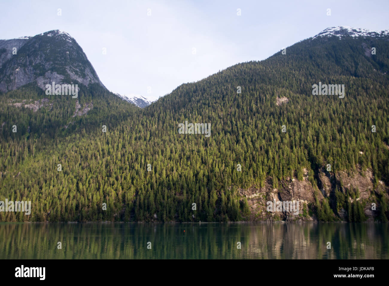 Forested slopes of the Coast Mountains in the Kitlope Heritage ...