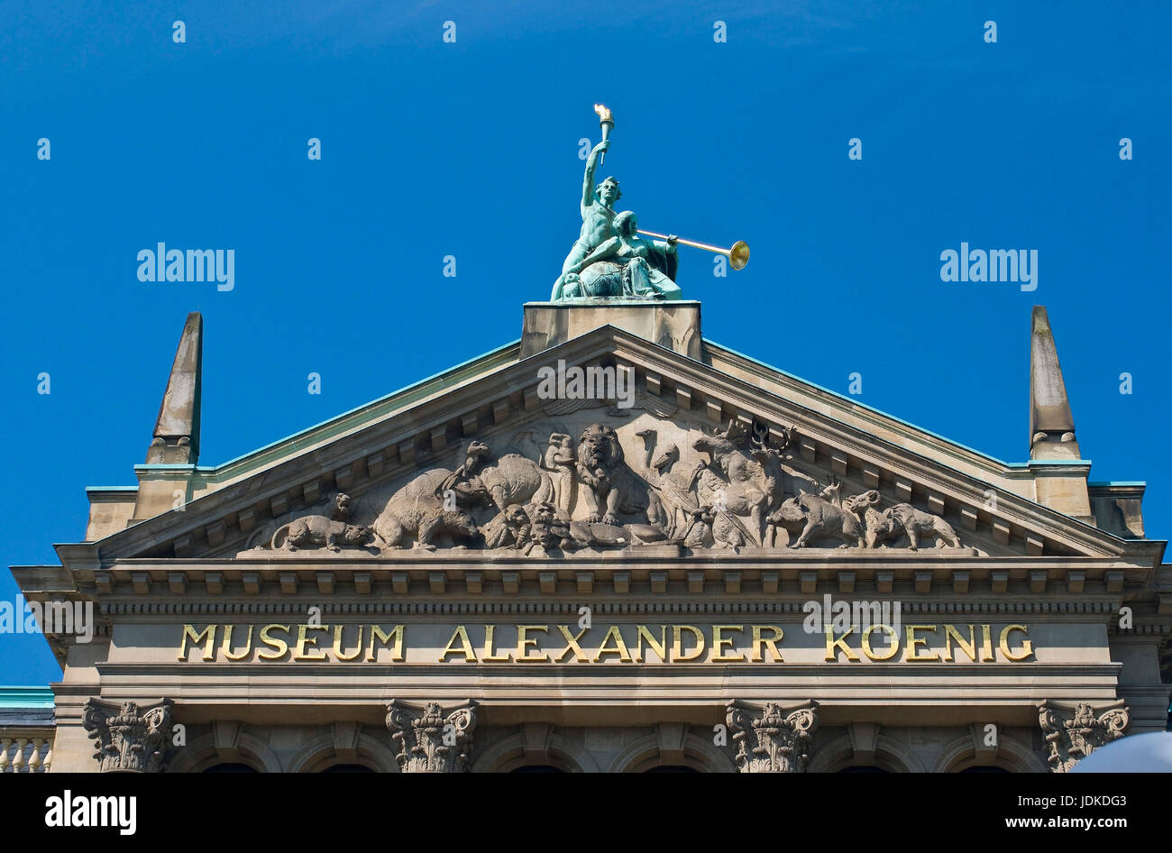 Europe, Germany, North Rhine-Westphalia, Bonn, zoological research museum Alexander Koenig, gable frieze, , Europa, Deutschland, Nordrhein-Westfalen,  Stock Photo