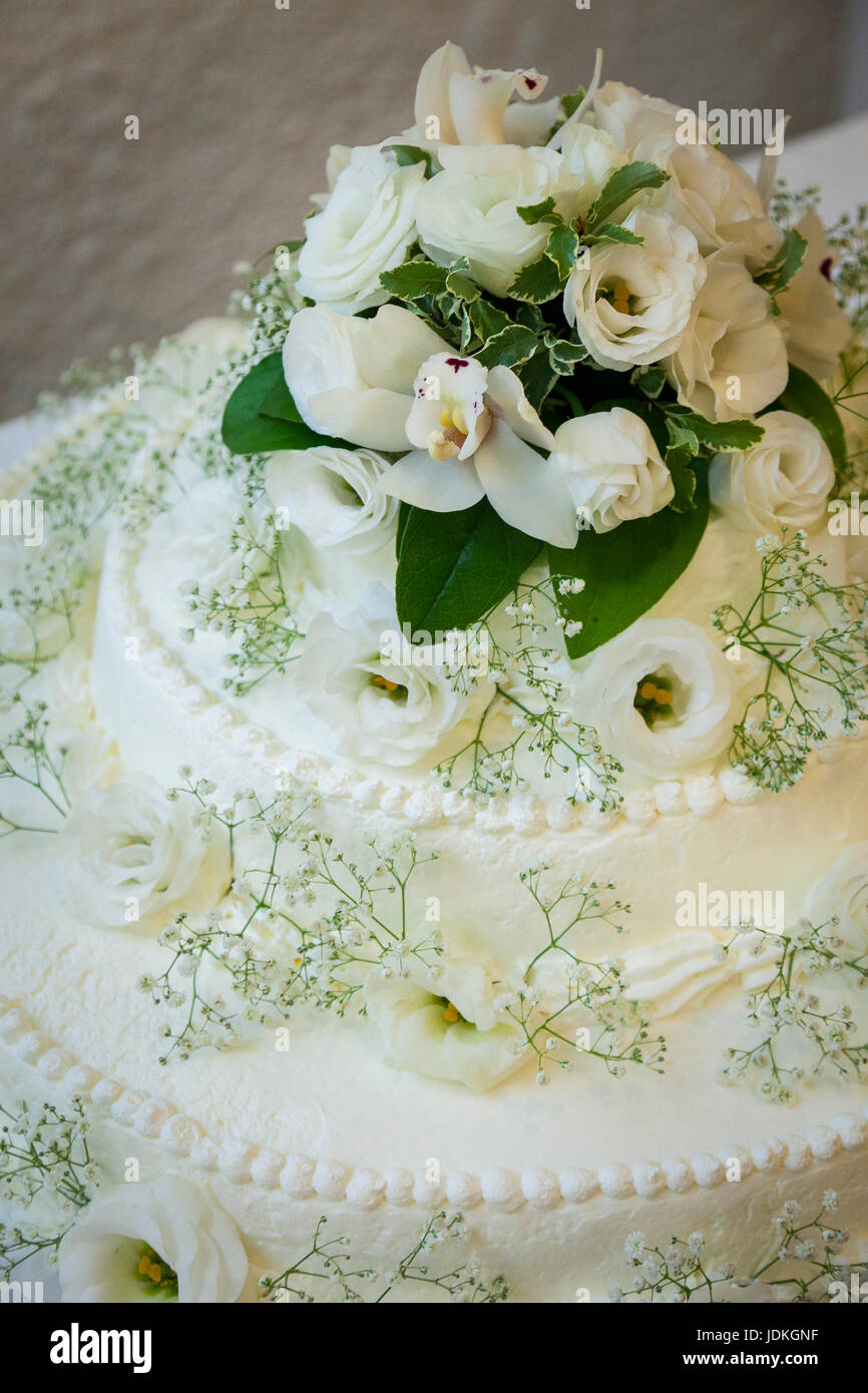 white cream wedding cake with withe roses Stock Photo - Alamy