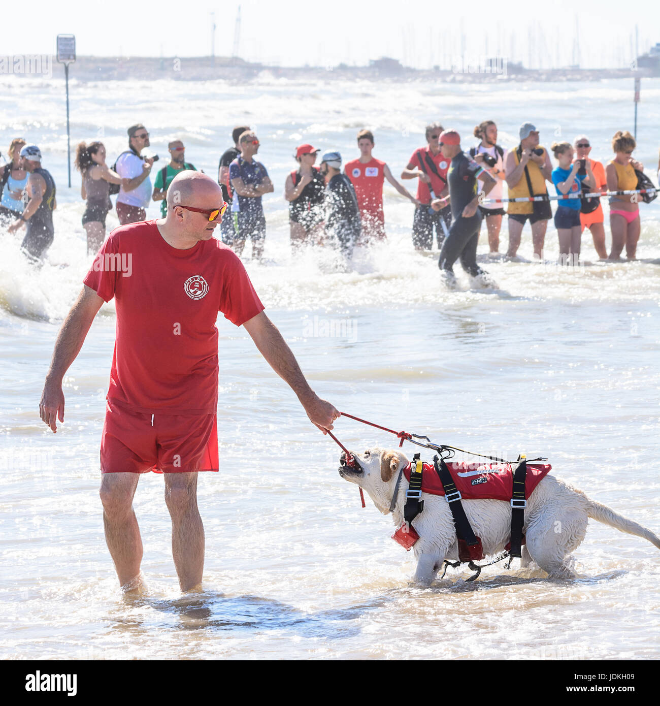Pescara, Italy - June 18, 2017: Lifeguard and rescue dog at Ironman 70.3 in Pescara Stock Photo