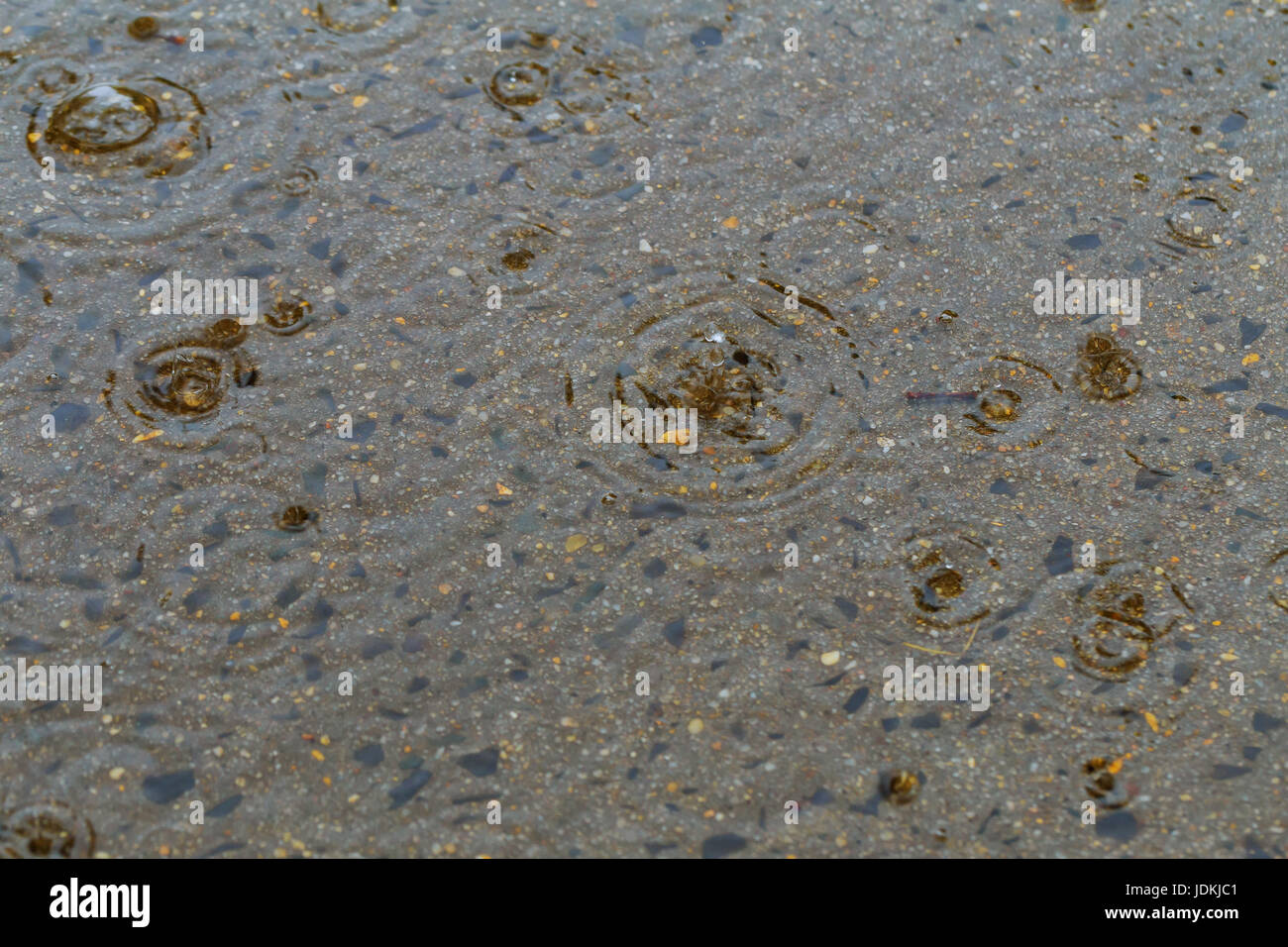 rain falling same sound wave, water drop, rainfall Drops on the road