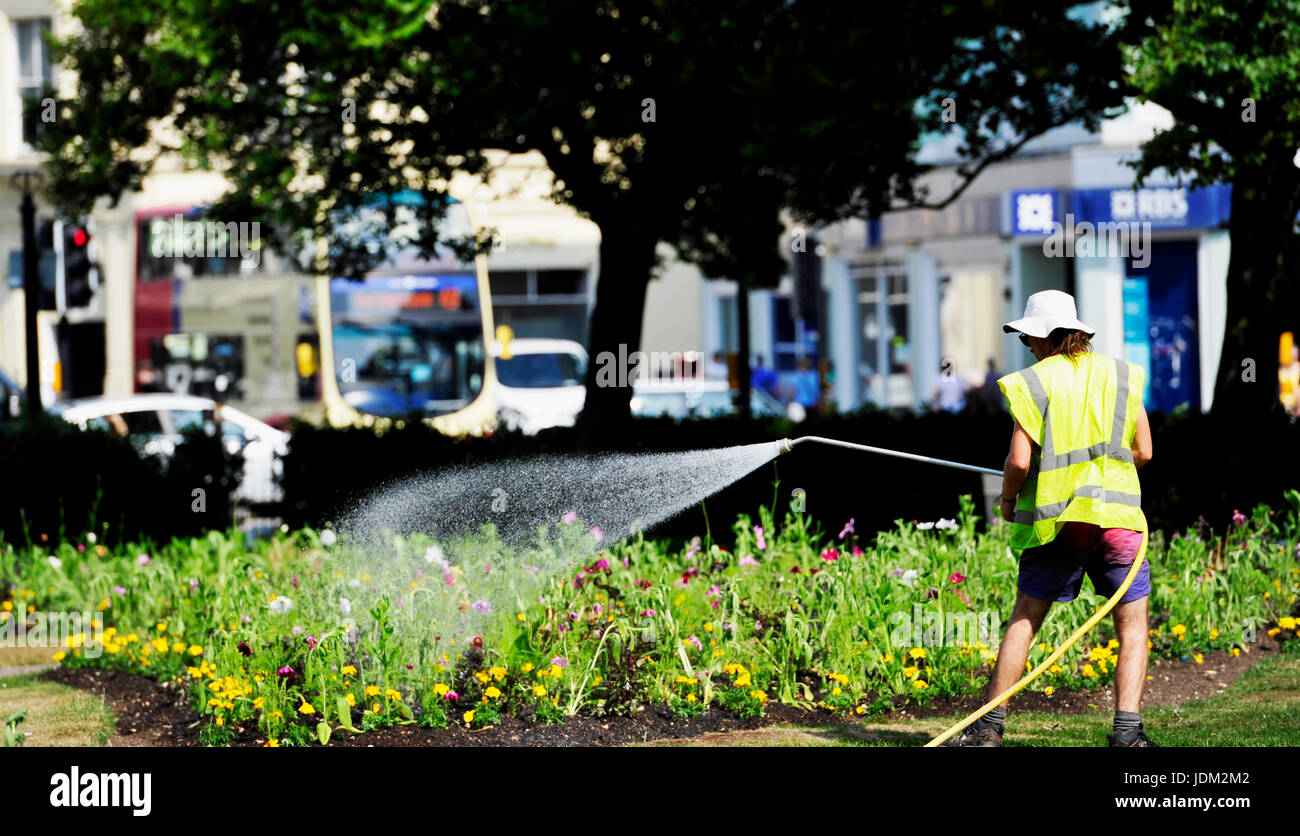 Brighton, UK. 21st June, 2017. The flowers get watered in the Old Steine Brighton this morning as it is forecast to be the hottest June day for over 40  years in some parts of Britain today Credit: Simon Dack/Alamy Live News Stock Photo
