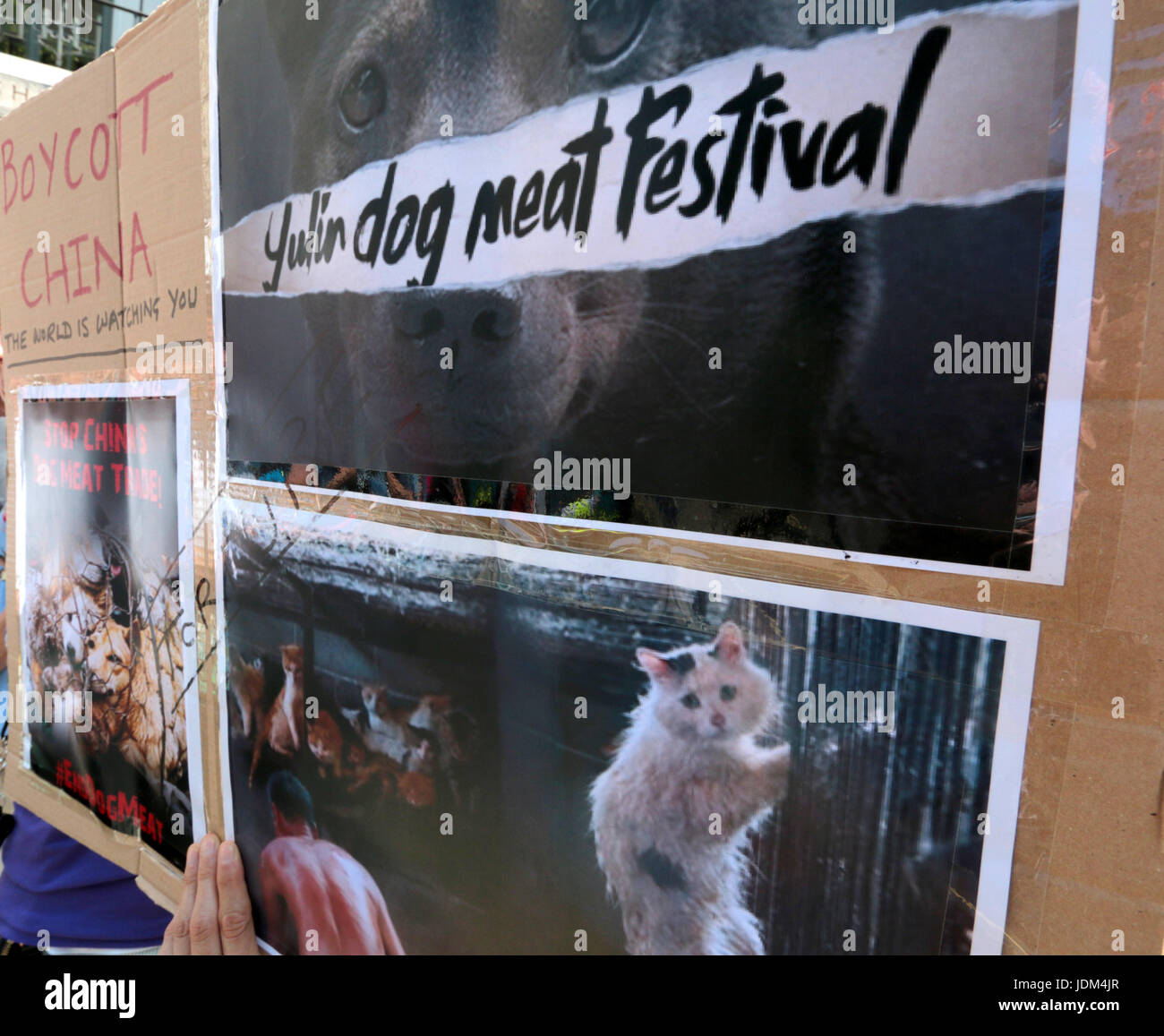 China Yulin Festival Hi res Stock Photography And Images Alamy china-yulin-festival-hi-res-stock-photography-and-images-alamy
