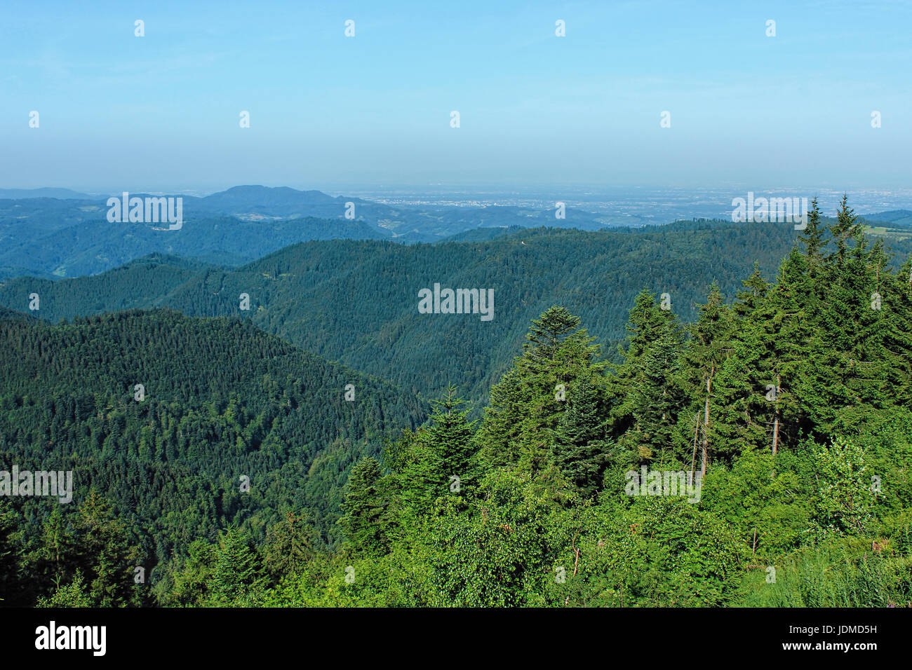 Hiking impressions from the Black Forest, Germany Stock Photo - Alamy