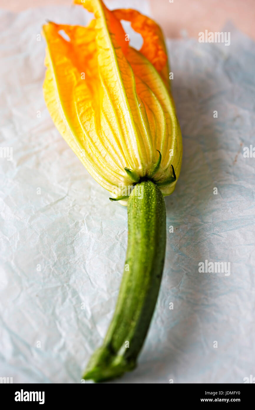 Edible courgette flowers isolated Stock Photo Alamy