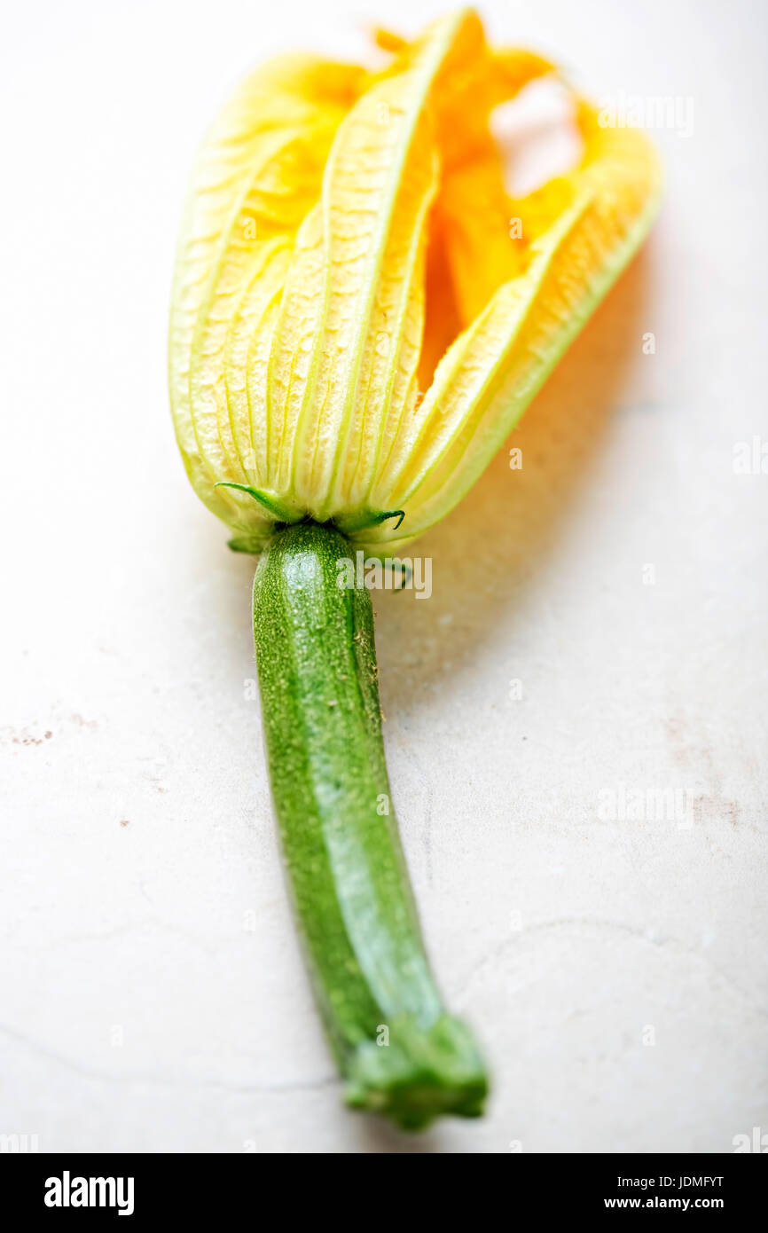 Edible courgette flowers isolated Stock Photo Alamy
