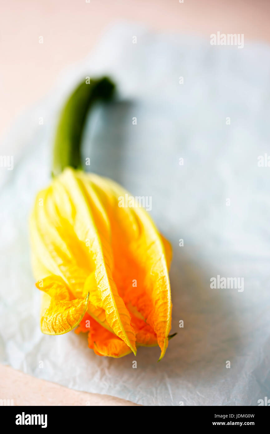 Edible courgette flowers isolated Stock Photo Alamy