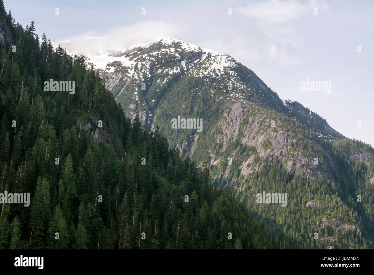 Kitlope heritage conservancy hi-res stock photography and images - Alamy