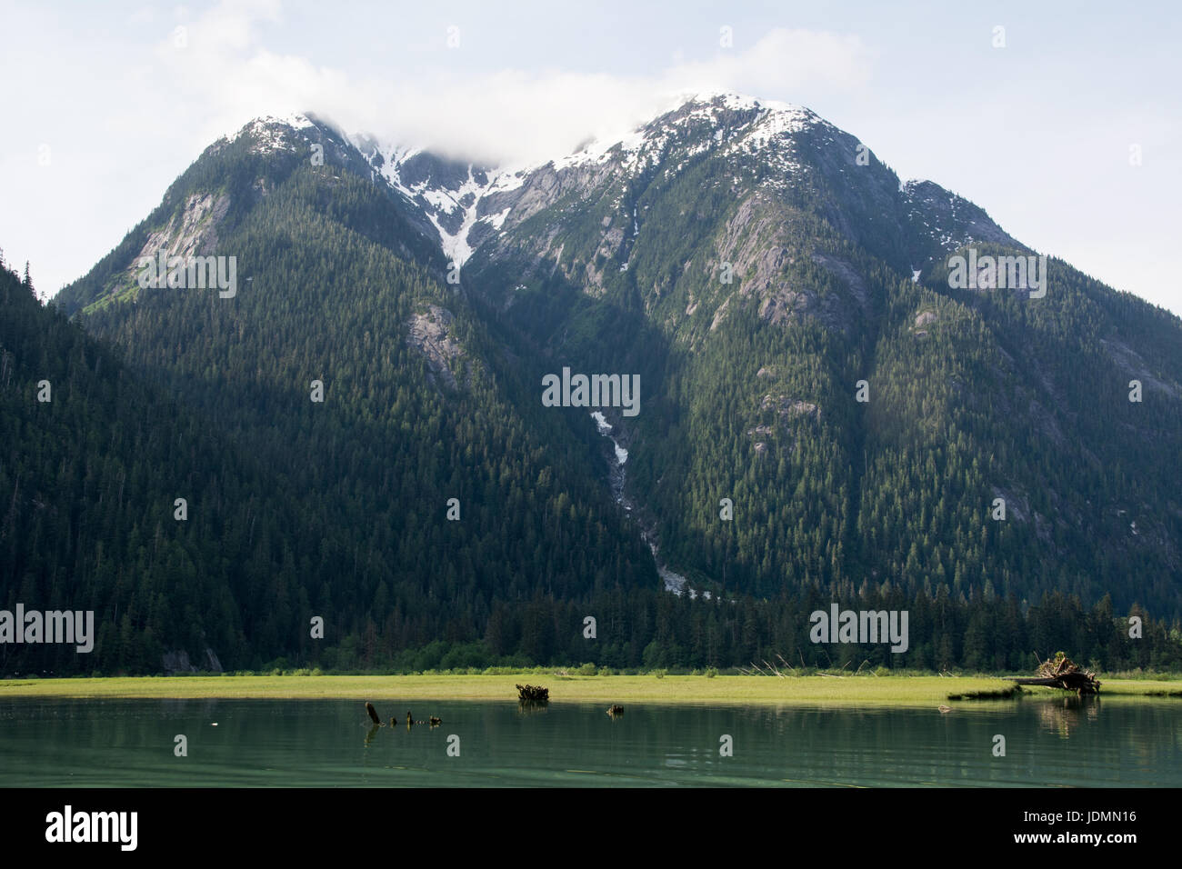 Calm waters of a Pacific estuary in the Kitlope Heritage Conservancy in ...