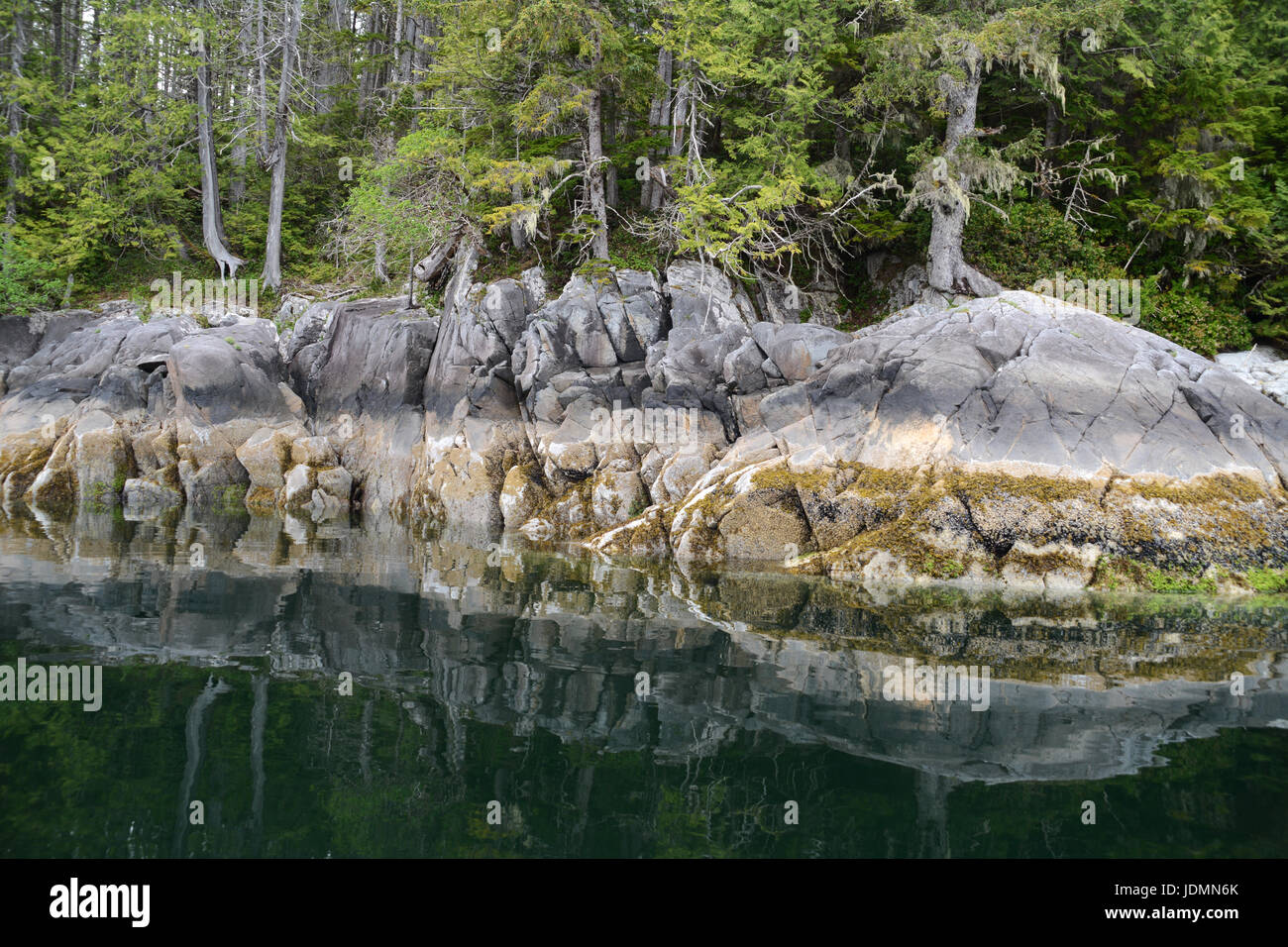 The rocky, tree-lined Pacific shores of Spiller Channel in low-tide, in the Great Bear Rainforest, on the central coast of British Columbia, Canada. Stock Photo