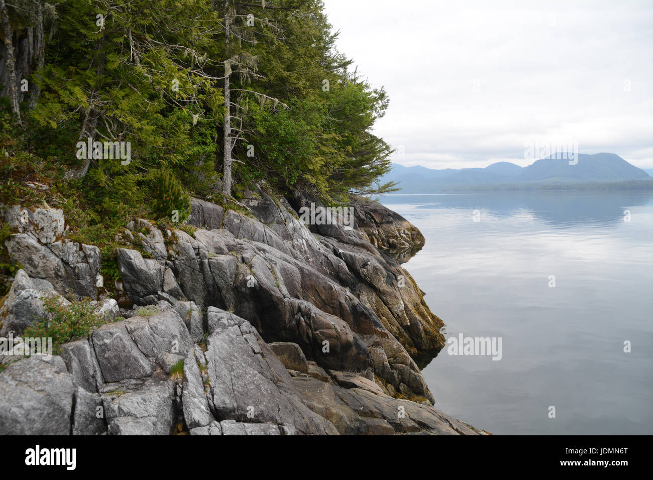 The rocky, tree-lined Pacific shores of Spiller Channel in low-tide, in the Great Bear Rainforest, on the central coast of British Columbia, Canada. Stock Photo