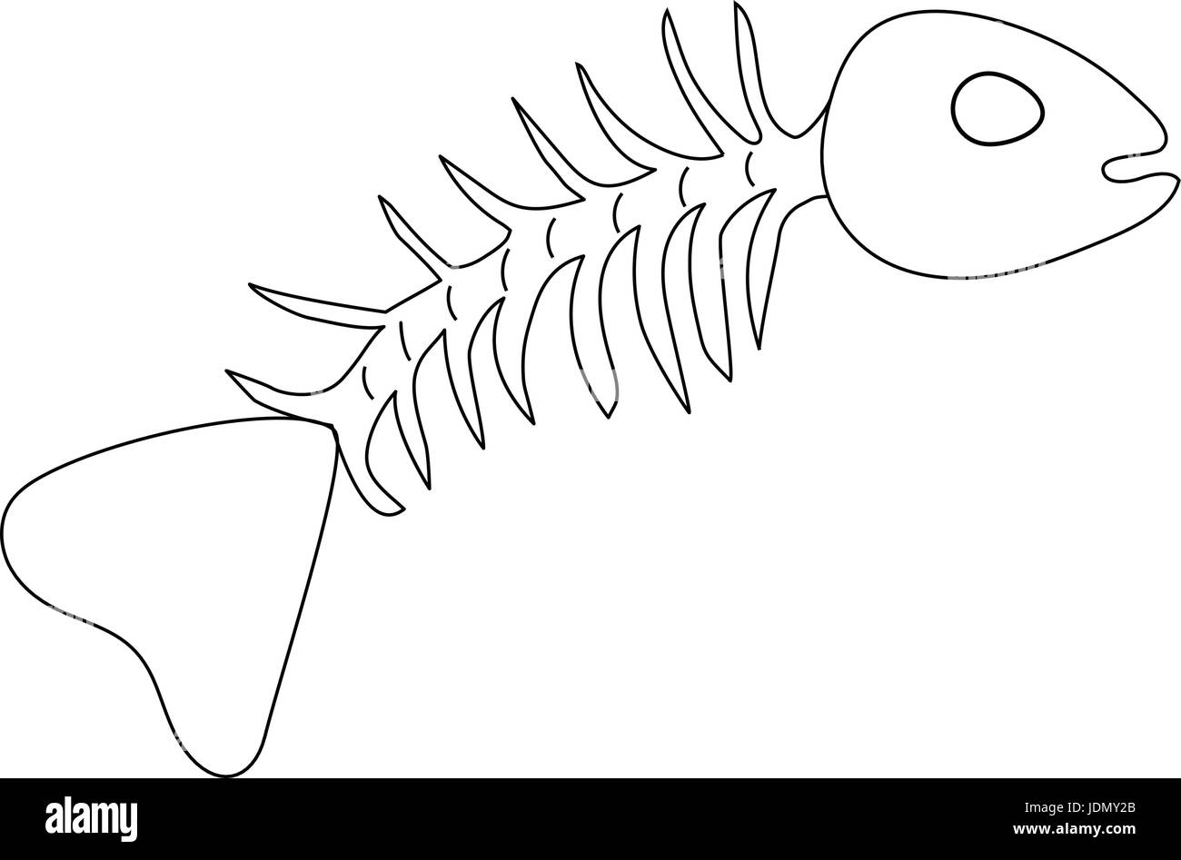 Simple skeleton fish drawing on white background Stock Vector
